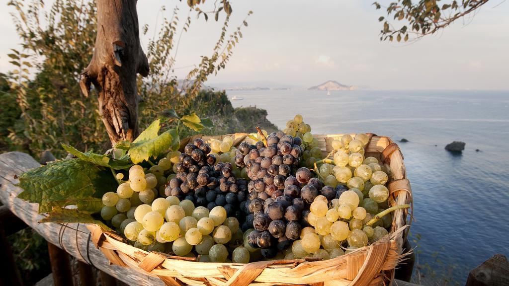 Albergo 'La Vigna' Procida Exterior foto